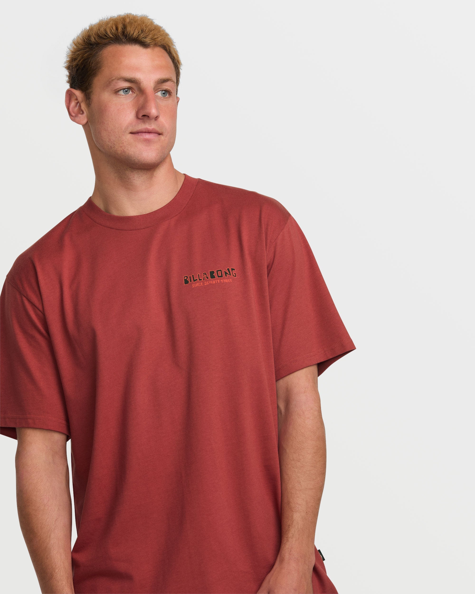 Twin Peaks Regular Tee - Dusty Red - Image 4