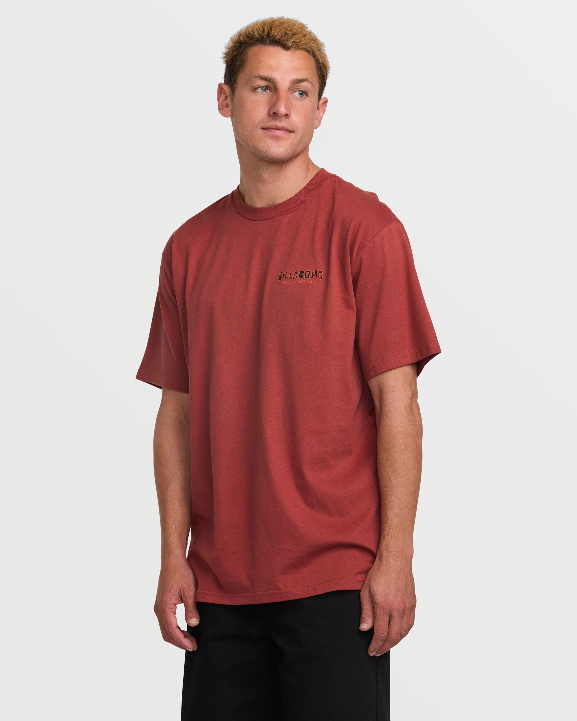 Twin Peaks Regular Tee - Dusty Red - Image 3