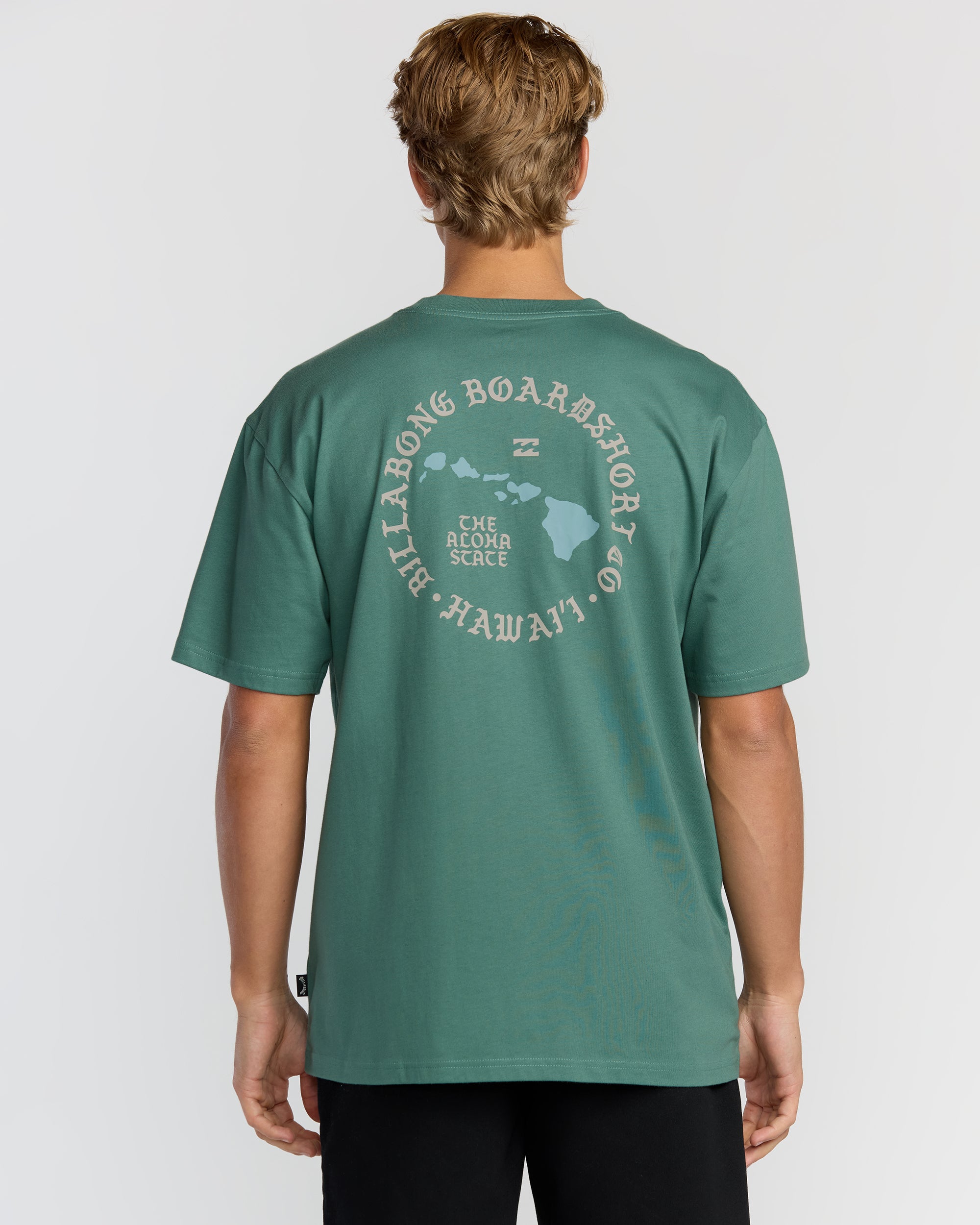 Aloha Island Hi Regular Short Sleeve T-Shirt - Sage Green - Image 2