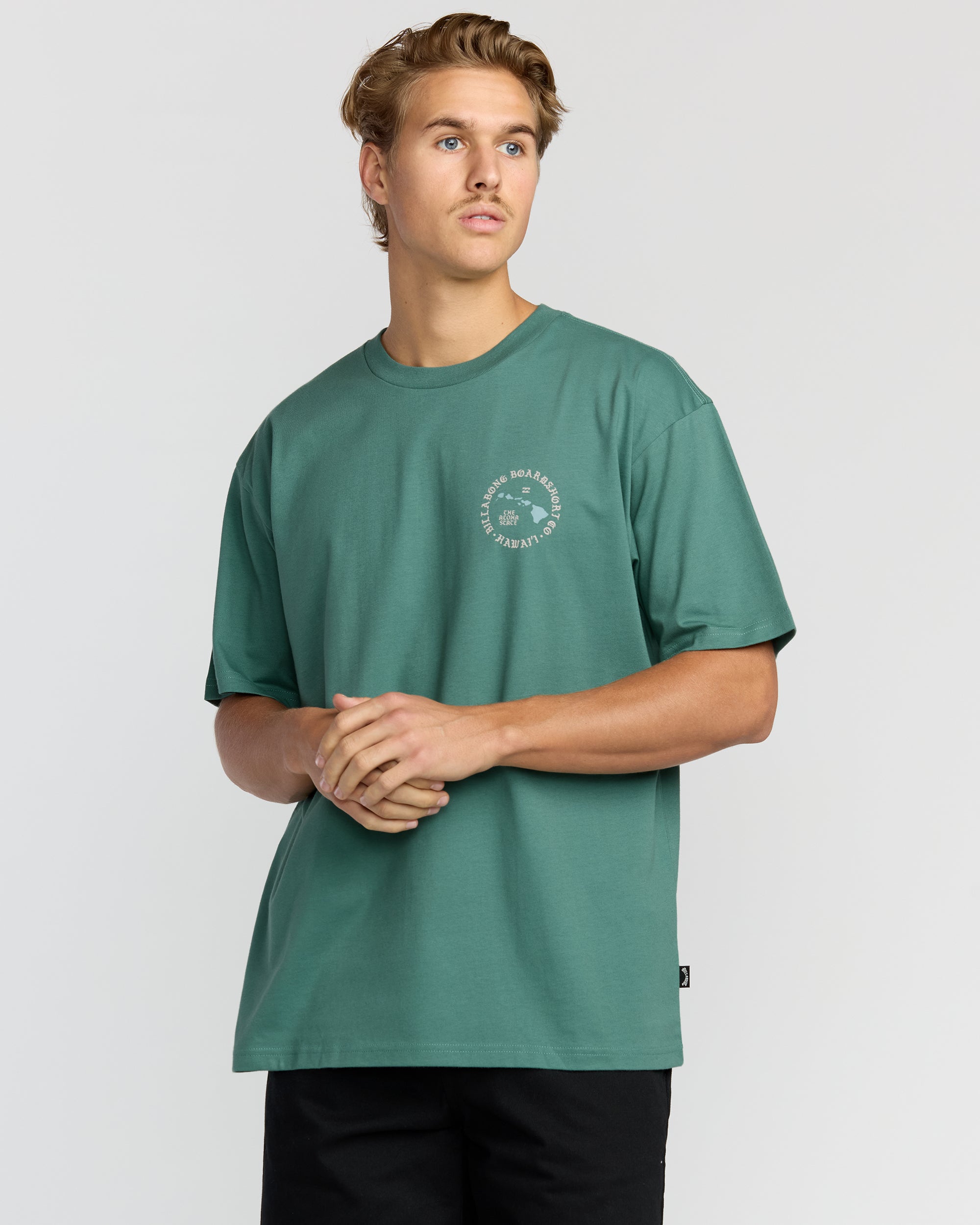 Aloha Island Hi Regular Short Sleeve T-Shirt - Sage Green