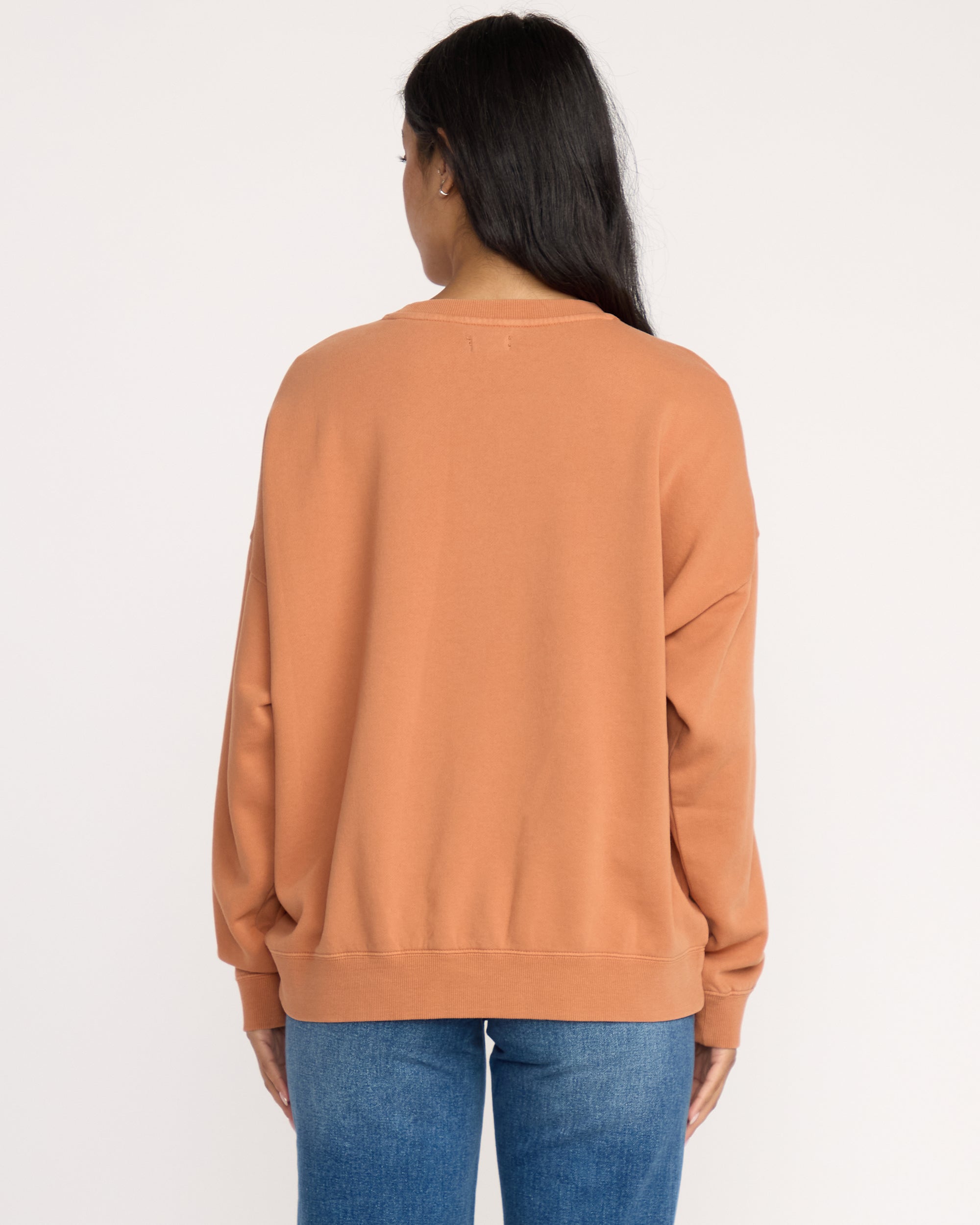 Echo Crewneck Sweatshirt - Sunburnt - Image 5