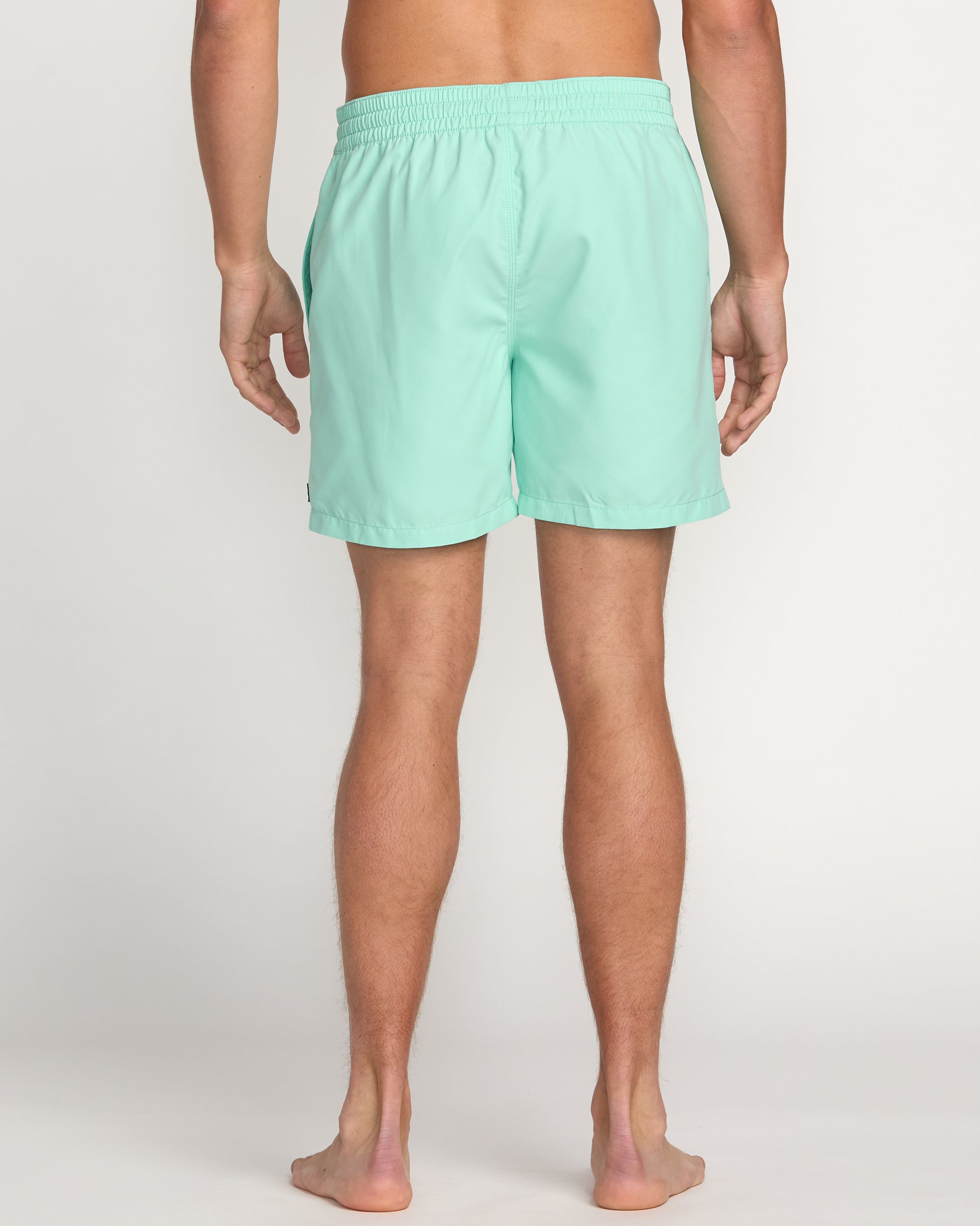 All Day Laybacks 16 Trunks - Bermuda - Image 2